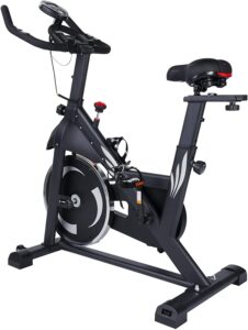 SSPHPPLIE Indoor Cycling Bike for Home Gym